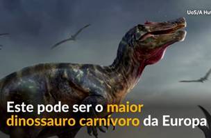 Dinossauro (Foto: Reprodução/Whatsapp)