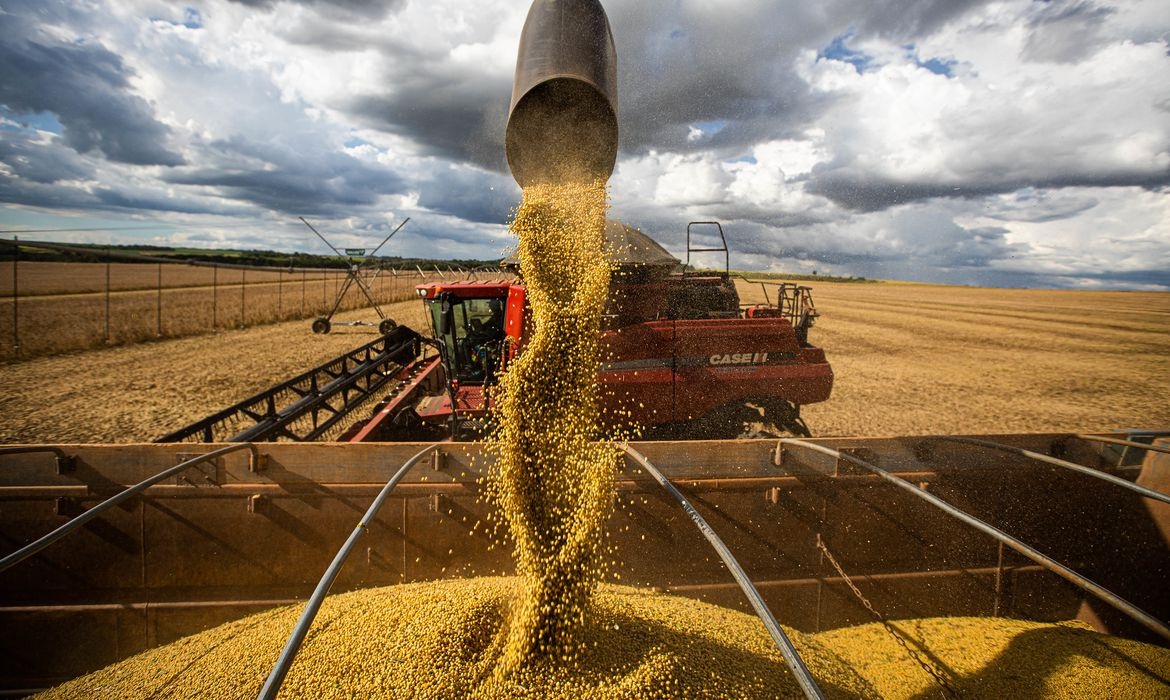 Baixa Grande do Ribeiro e Uruçuí estão entre os destaques da produção de soja.