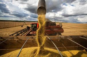 Baixa Grande do Ribeiro e Uruçuí estão entre os destaques da produção de soja. (Foto: Reprodução/ Agência Brasil)