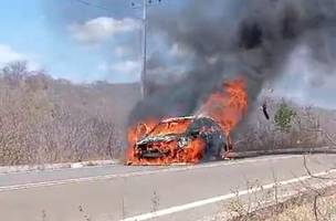 Incêndio em veículo na PI-447 (Foto: Divulgação)