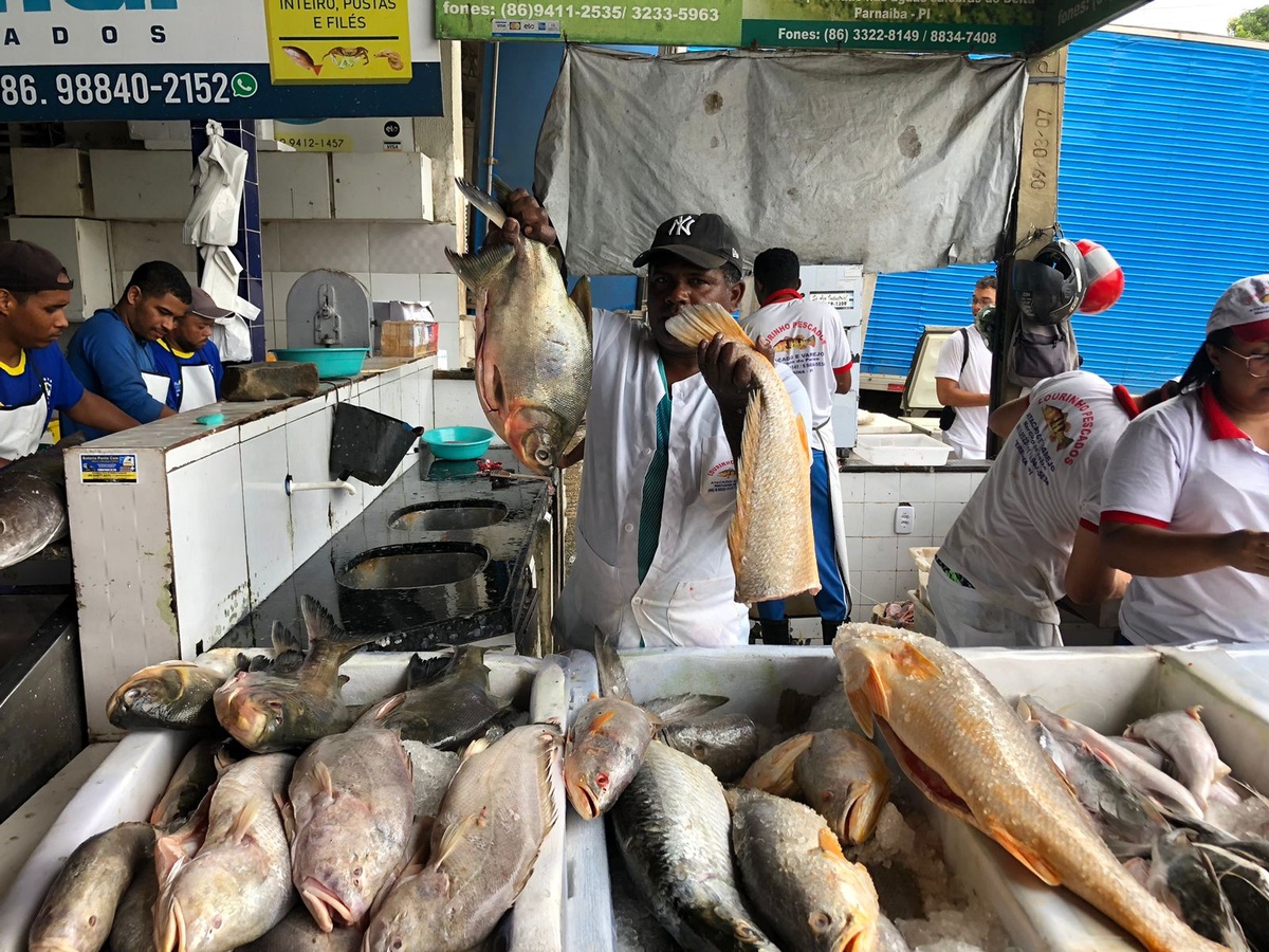 Mercado do Peixe de Teresina