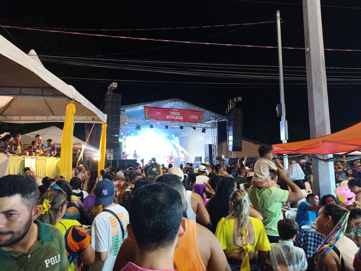 Público lota o Bloco Vaca Atolada