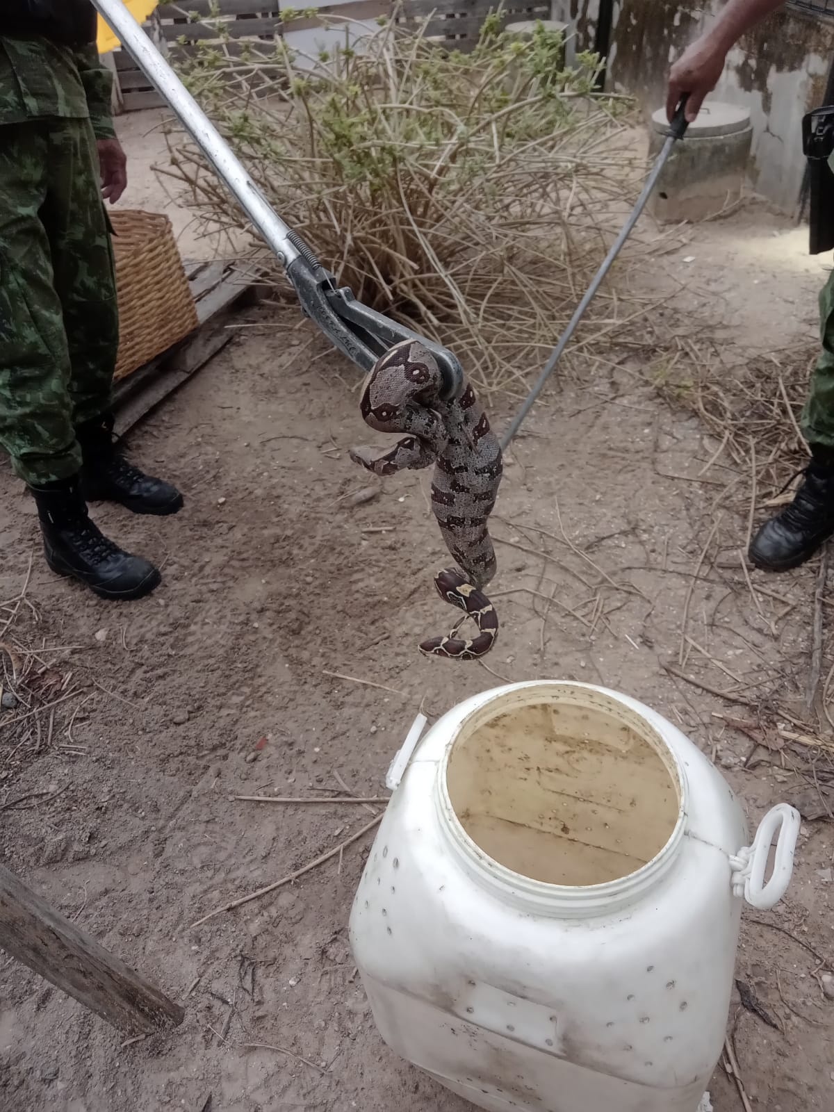Polícia Ambiental em resgate a animais silvestres