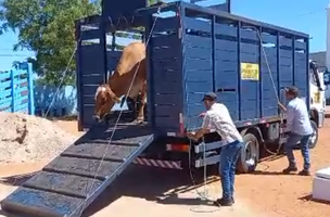 Os proprietários foram alertados sobre os cuidados com os animais. (Foto: PRF)