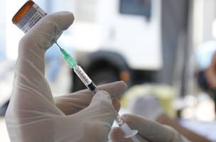 Vacina BCG: A proteção essencial para a prevenção eficaz de doenças. (Foto: Reprodução/ Agência Brasil)