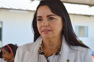 Ex-deputada Teresa Brito (Foto: Reprodução/Internet)