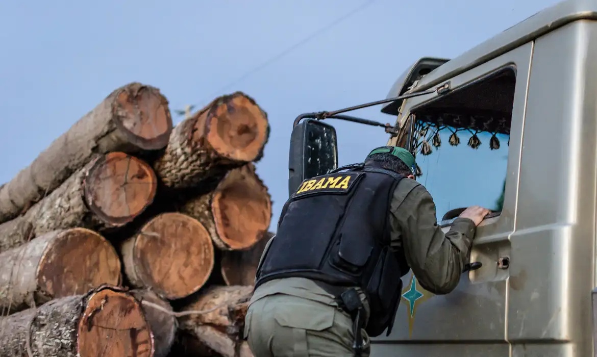 nstituto Brasileiro do Meio Ambiente e dos Recursos Naturais Renováveis (Ibama).
