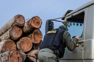 nstituto Brasileiro do Meio Ambiente e dos Recursos Naturais Renováveis (Ibama). (Foto: Vinícius Mendonça/Ibama)