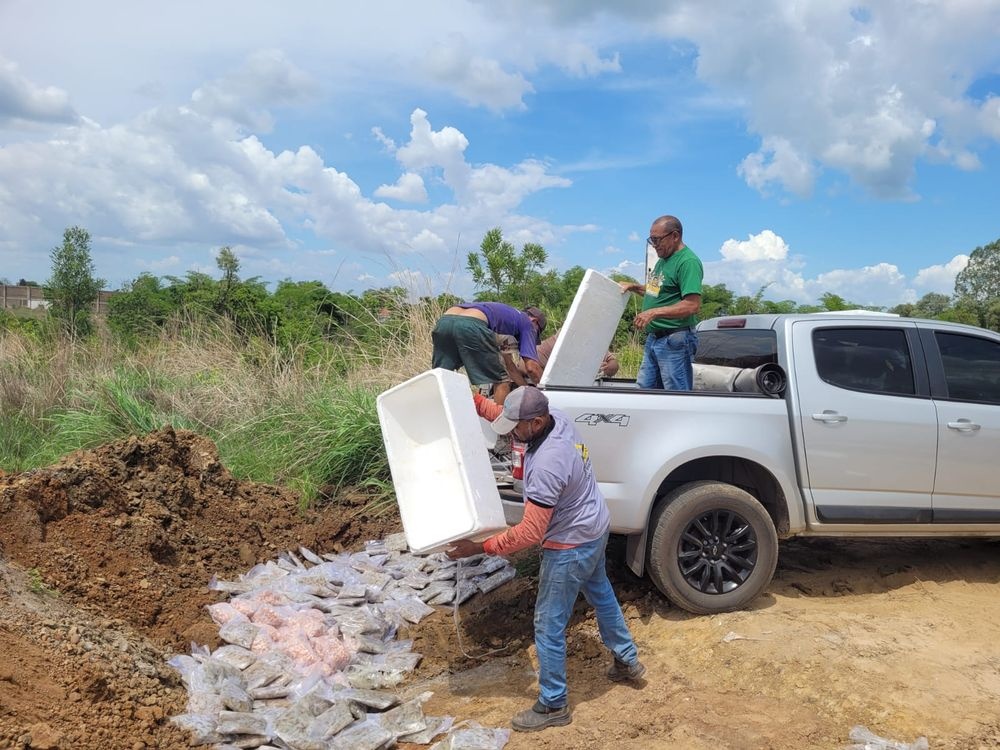 O produto teve de ser destruído, devido às más condições de armazenamento.