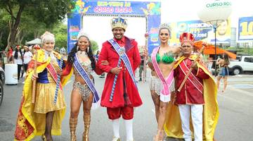 Algumas das fantasias do Corso de Teresina 2024. (Foto: Narcílio Costa / Correio Piauiense)