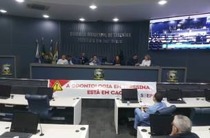 Audiência pública (Foto: CMT)