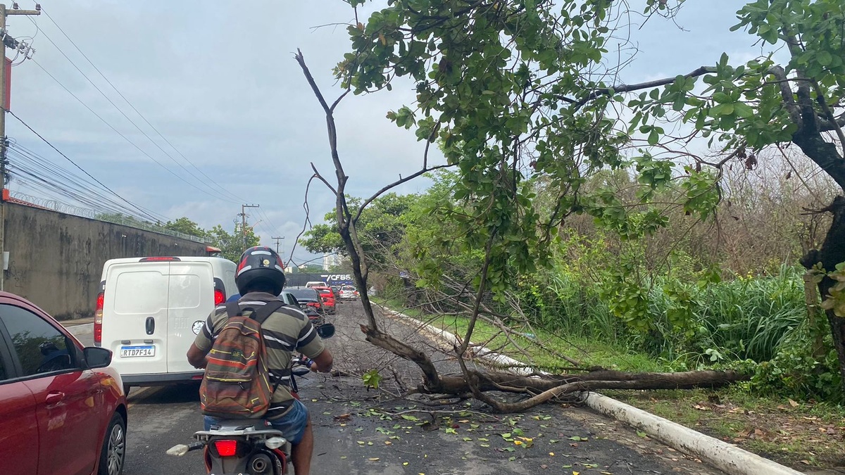 Avenida Mirtes Melão, no bairro Gurupi.