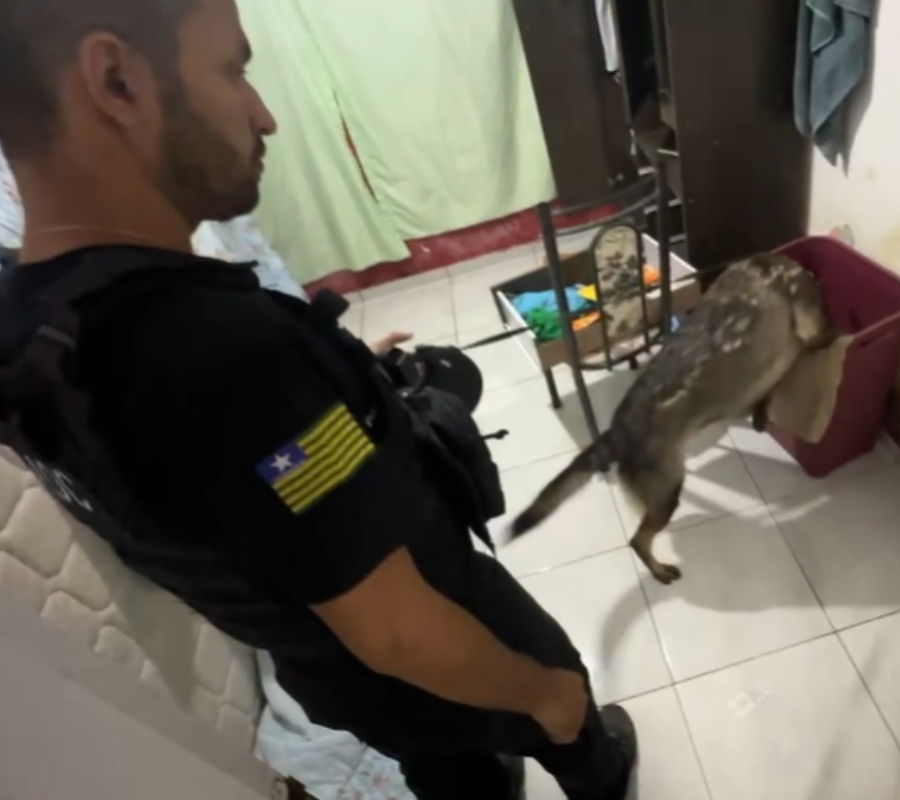 A operação prendeu quatro suspeitos.