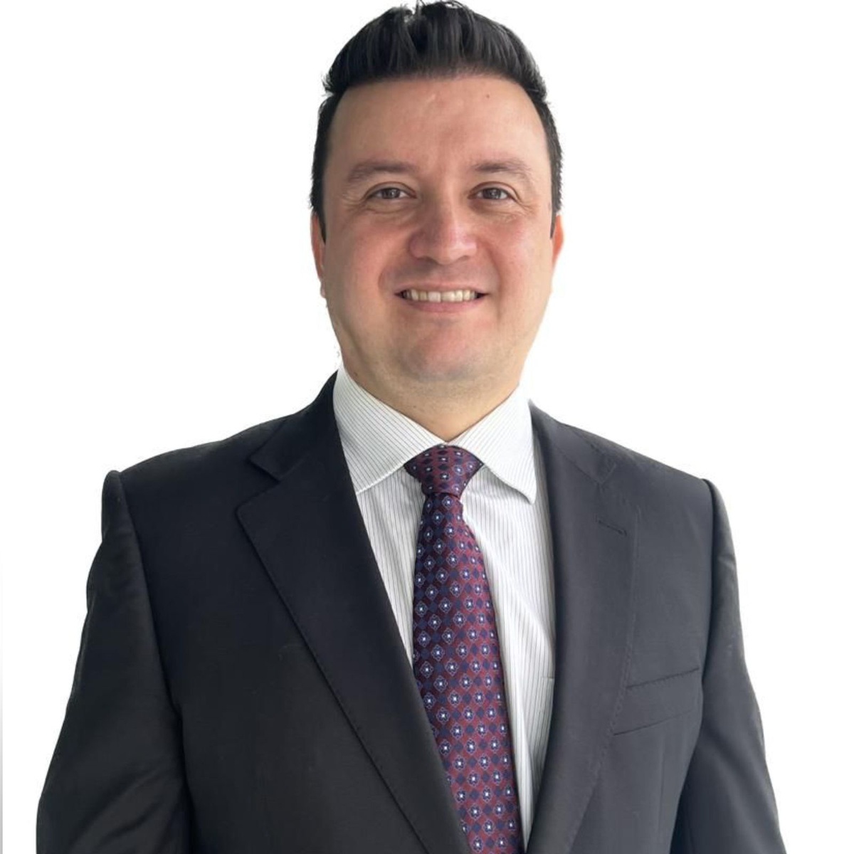 Promotor de Justiça, Maurício Verdejo.