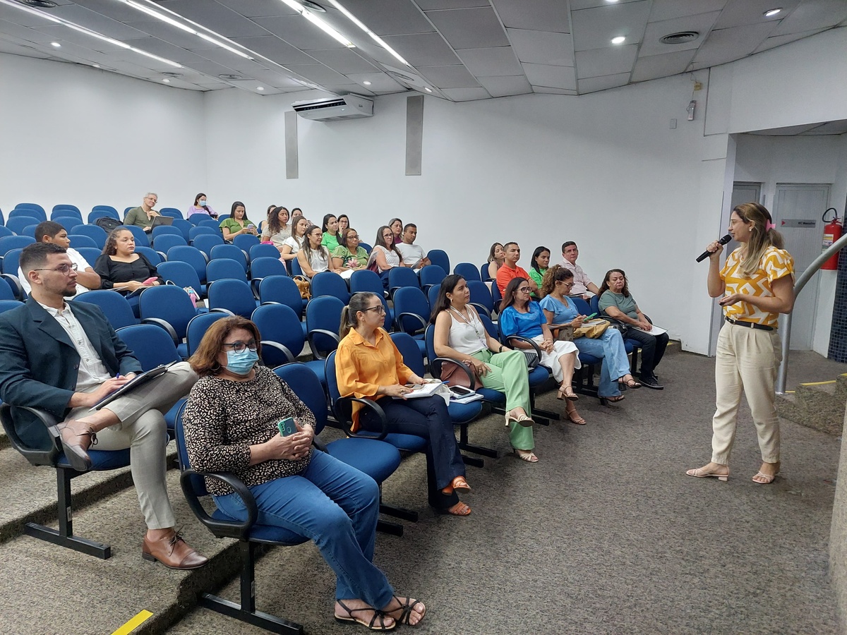 Sesapi realiza Oficina de Estratificação de Risco da Gestante e da Criança.