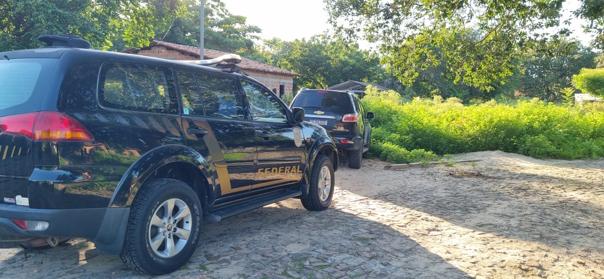 A operação prendeu 12 envolvidos.