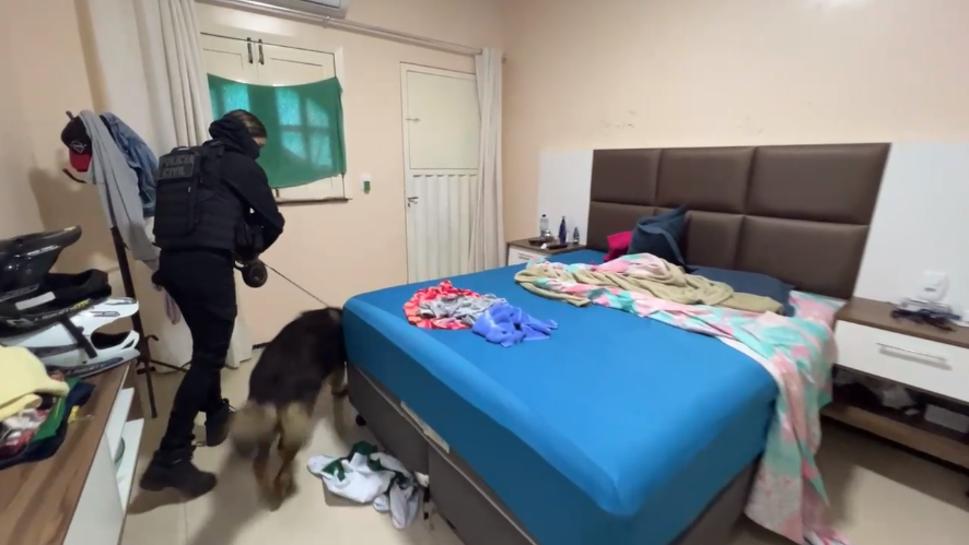 A operação também contou com a atuação de cães farejadores.