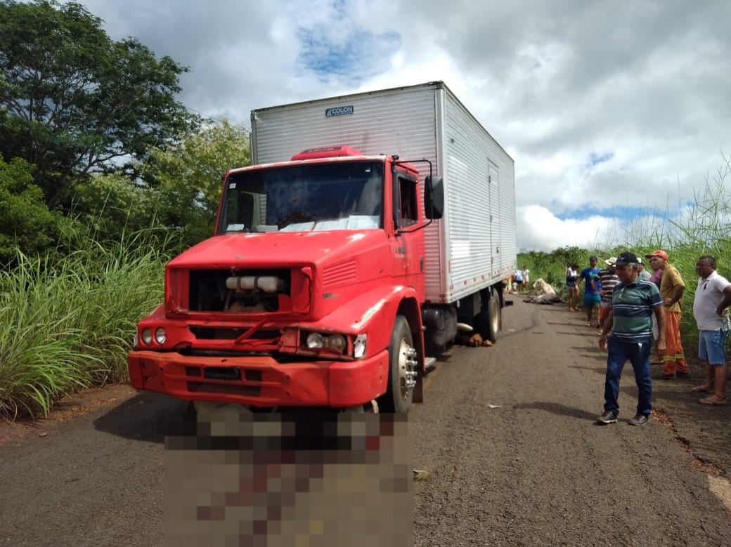 Caminhoneiro atropela e mata cerca de 15 animais na PI 120.