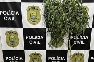 Com os presos, foram apreendidas várias drogas, além de uma espingarda, um revólver e dinheiro em espécie. (Foto: Polícia Civil.)