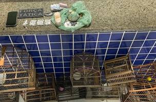 PM apreende maconha, dinheiro em casa usada como ponto de venda drogas no Piauí. (Foto: Reprodução/ Ascom)
