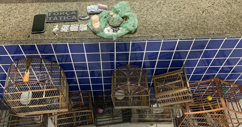 PM apreende maconha, dinheiro em casa usada como ponto de venda drogas no Piauí.