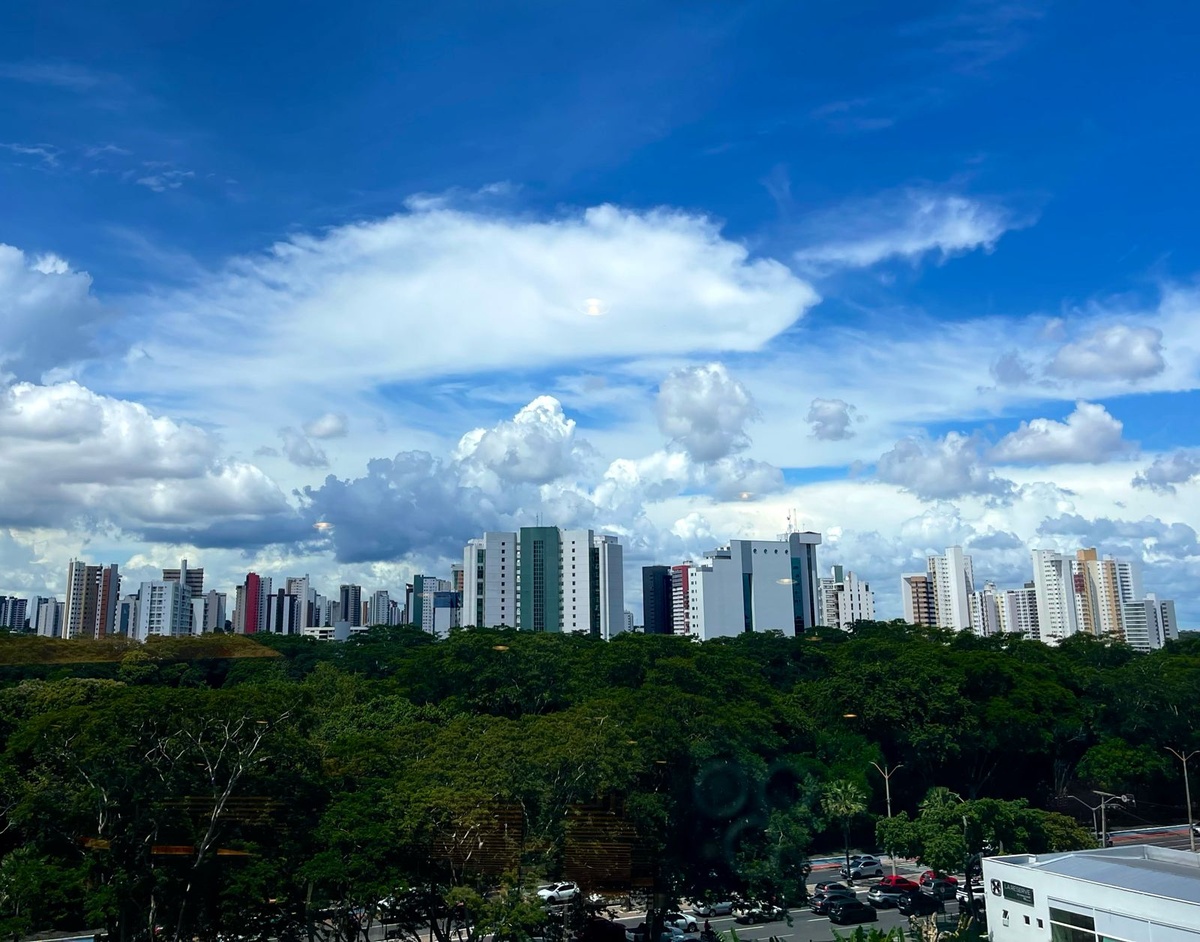 Teresina investirá em arborização urbana para combater mudanças climáticas.