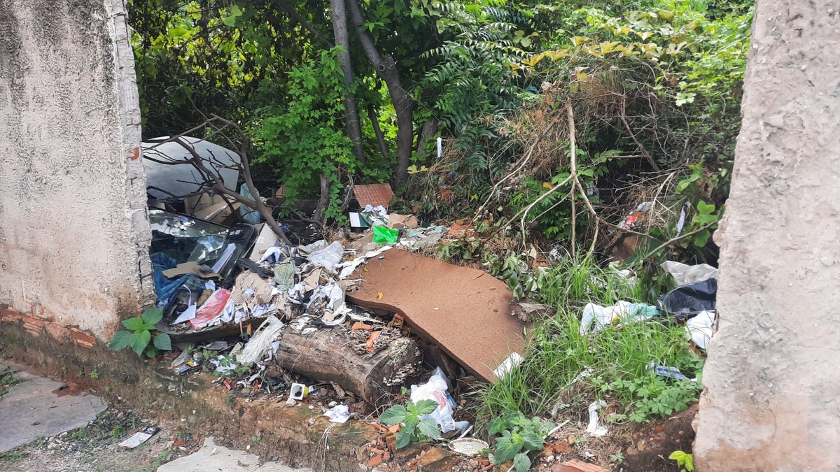 Terreno na Avenida Nações Unidas gera preocupação devido ao acúmulo de mato e lixo.