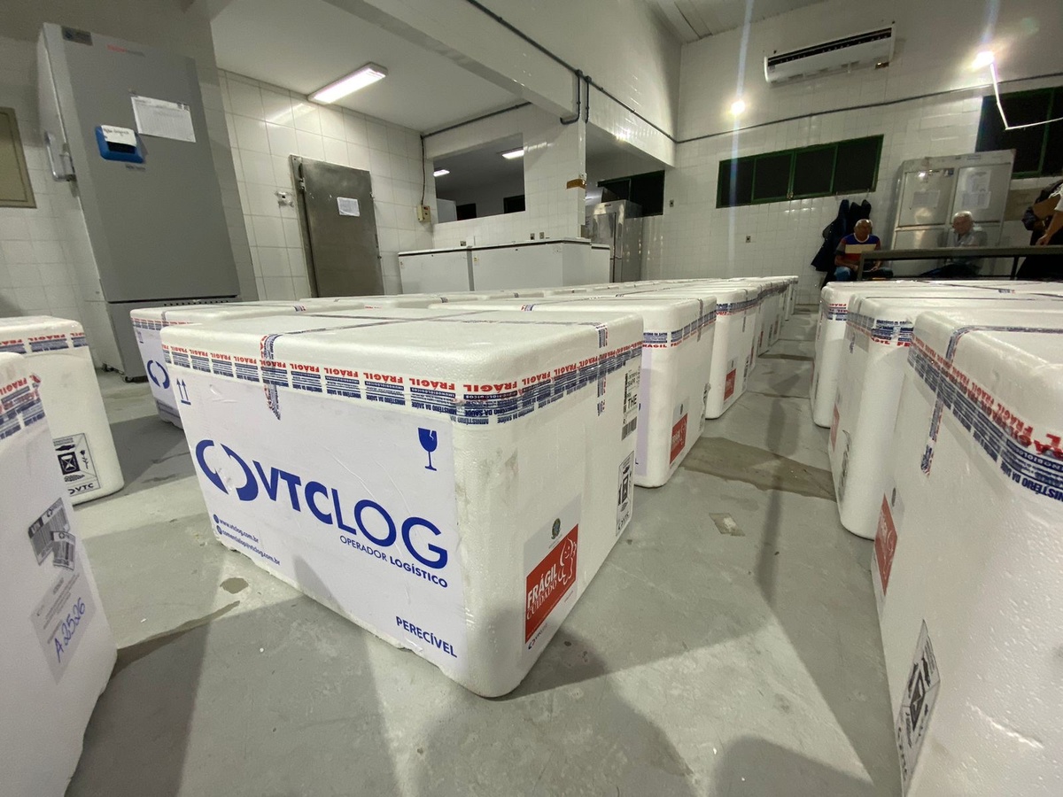 Vacinas contra dengue no Piauí.