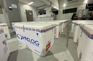 Vacinas contra dengue no Piauí. (Foto: Divulgação/Sesapi)