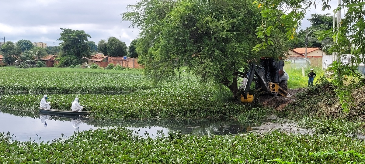 Viver+Teresina inicia limpeza de lagoa e destinará aguapés para compostagem.