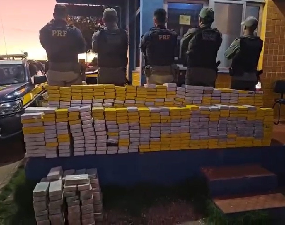 Ao todo, 775 tabletes foram apreendidos.