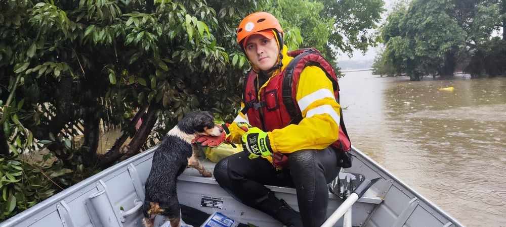 Bombeiros do Piauí realizam ações humanitárias em São Leopoldo, RS.