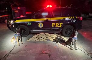 PRF apreende mais de 50 kg de Skunk em abordagem no Maranhão. (Foto: Divulgação/ PRF-PI)