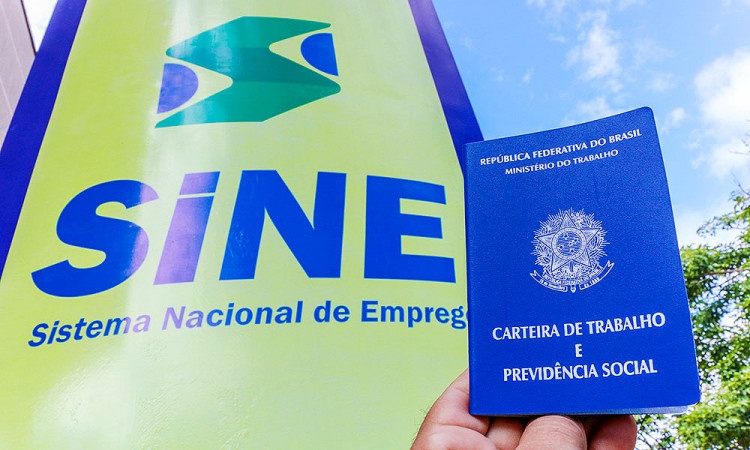 Sistema Nacional de Emprego do Piauí.