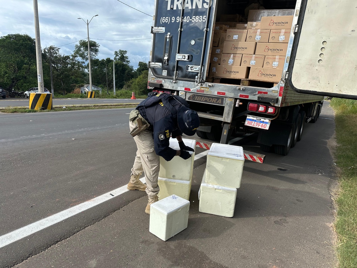 PRF apreende 186 tabletes de cocaína escondidos em carga de carne em Teresina.