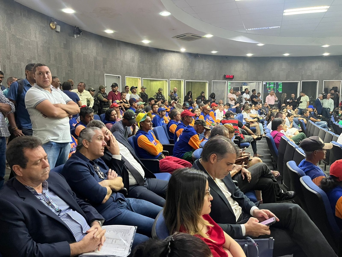 Teresina aprova projeto que suspende circulação de carroças puxadas por animais.