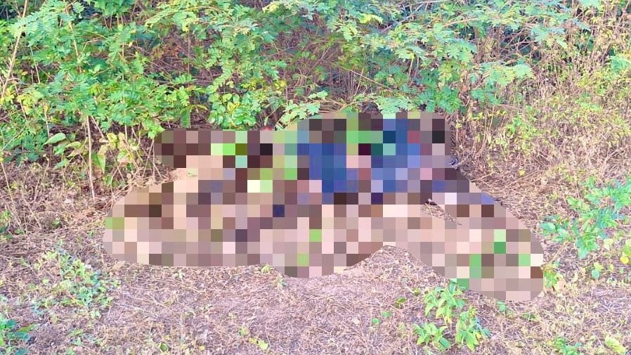 Corpo de homem em decomposição é encontrado em matagal em Parnaíba.