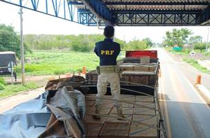 PRF apreende 400 maços de cigarros contrabandeados em Piripiri. (Foto: Reprodução/ PRF)