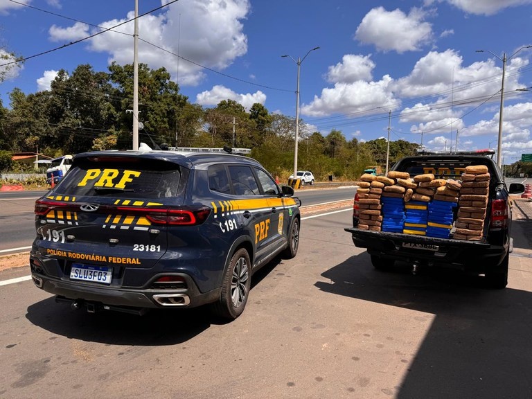 PRF divulga dados sobre apreensão de entorpecentes.