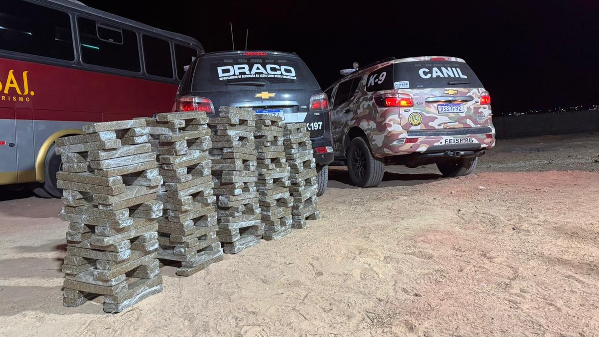 Materiais apreendidos durante a ação policial.