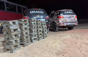 Materiais apreendidos durante a ação policial. (Foto: Divulgação/ SSP-PI)