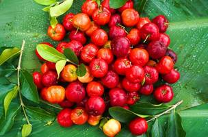 Acerola. (Foto: Reprodução/Internet)