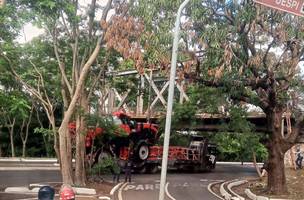 Caminhão carregado com pulverizador fica preso a Ponte Metálica. (Foto: Reprodução/ Internet)