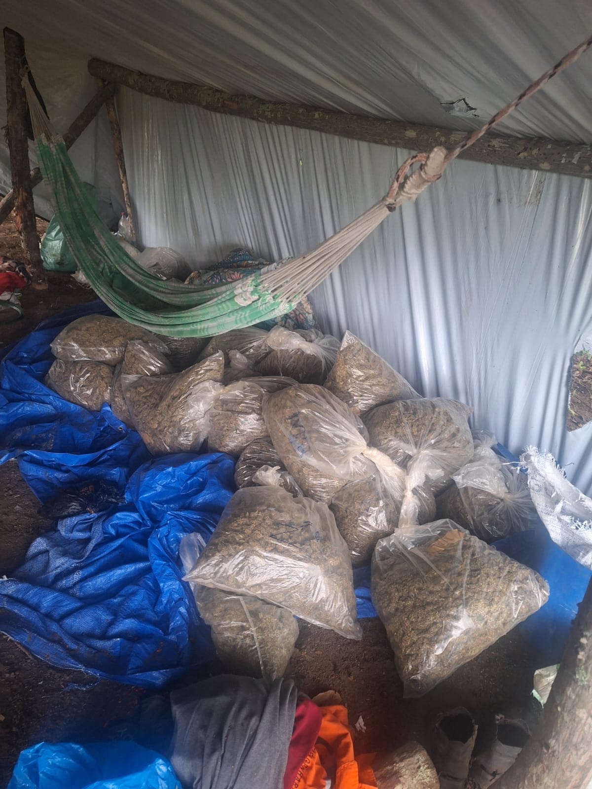 Materiais apreendidos durante a ação policial.