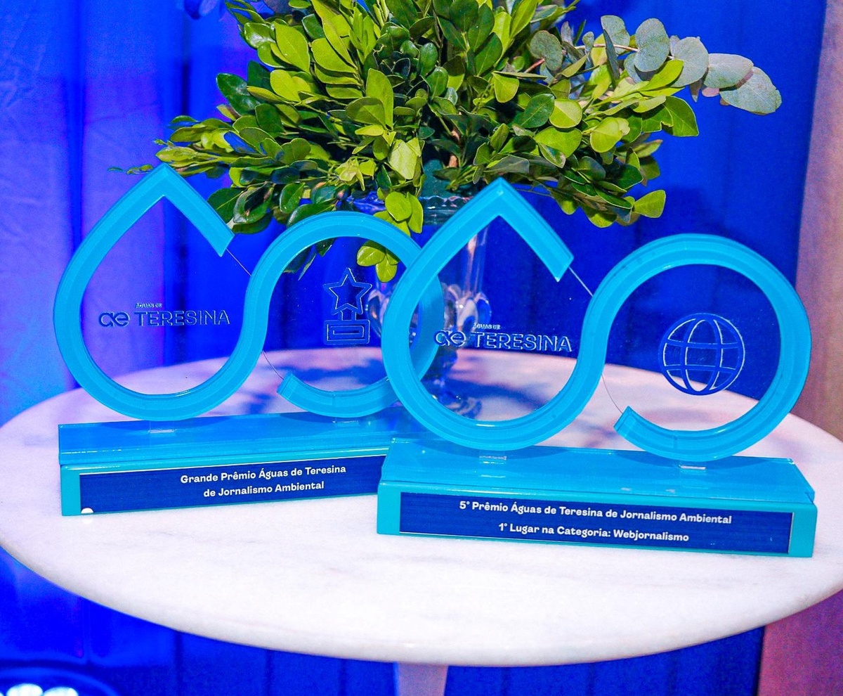 O portal conquistou os troféus de primeiro lugar em ambos os prêmios.