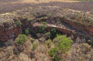 Piauí cria Área de Proteção Ambiental no Vale dos Buritis e Carnaubais. (Foto: Reprodução/ Ascom)