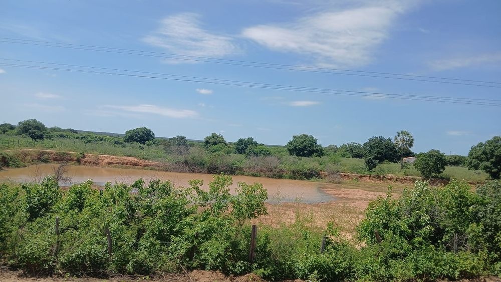 Seca verde afeta agricultores no Piauí.