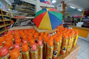 Vendas de Carnaval no Piauí devem registrar crescimento em 2025. (Foto: Reprodução/ Ascom)