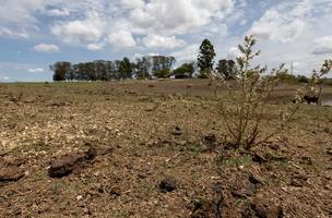 Bom Jesus decreta emergência por seca; perdas nas lavouras chegam a 60%. (Foto: Reprodução/ Agência Brasil)
