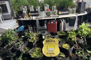 Casal é preso por cultivar maconha em estufa dentro de casa em Teresina. (Foto: Divulgação/ PC-PI)